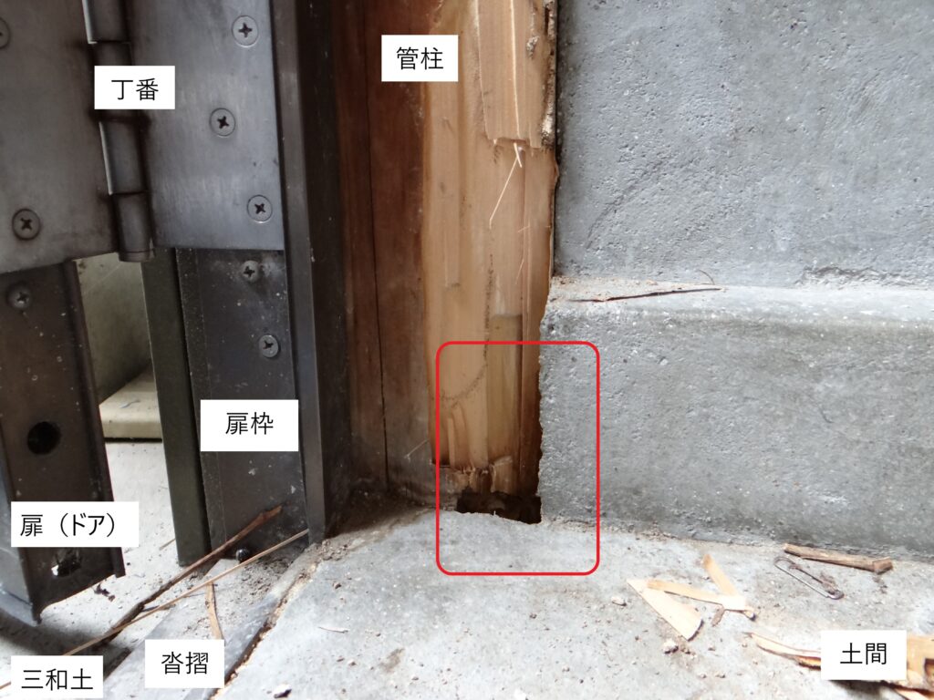 勝手口の白蟻調査④（白蟻駆除サービスセンター愛知）