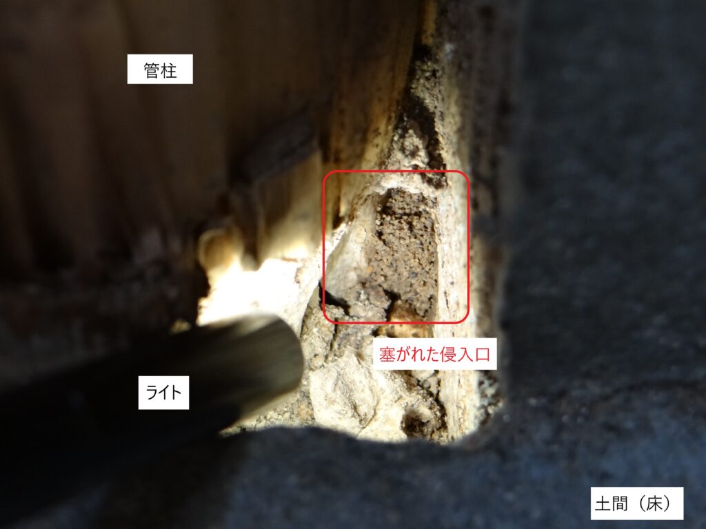 勝手口の白蟻調査⑥（白蟻駆除サービスセンター愛知）