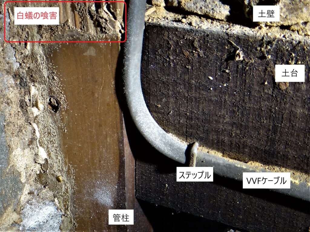 台所の白蟻調査⑨（白蟻駆除サービスセンター愛知）